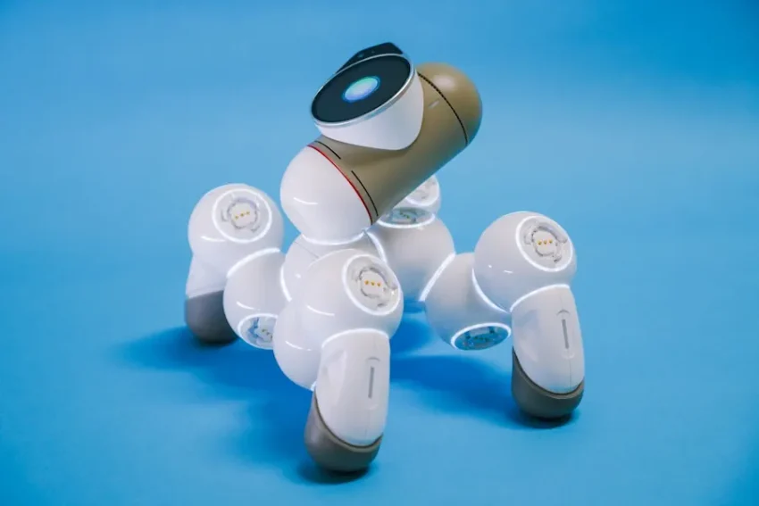massagerobot